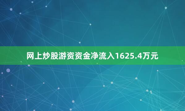 网上炒股游资资金净流入1625.4万元