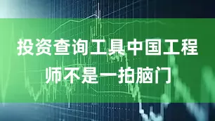 投资查询工具中国工程师不是一拍脑门